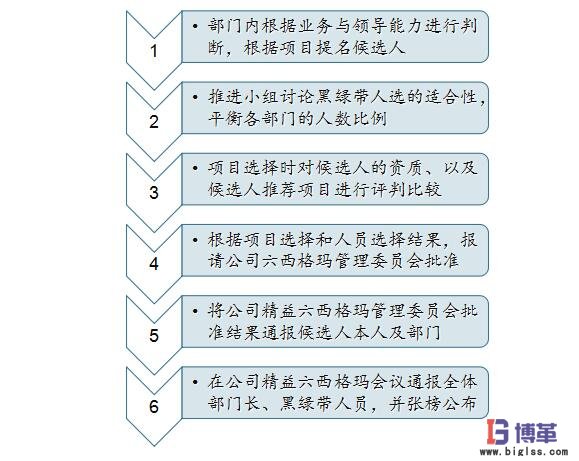 六西格瑪黑帶、綠帶人員的選擇
