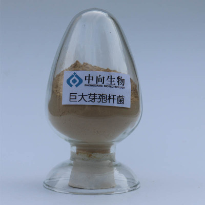 飼料營養(yǎng) 畜牧養(yǎng)殖與漁業(yè)健康發(fā)展的關(guān)鍵支撐