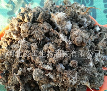 生物肥與飼料 鋤禾日當(dāng)午，畜牧漁業(yè)的綠色未來
